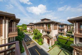 699搶購佛山美的鷺湖卓越別墅住三房5床泡池別墅 私家花園 泡池